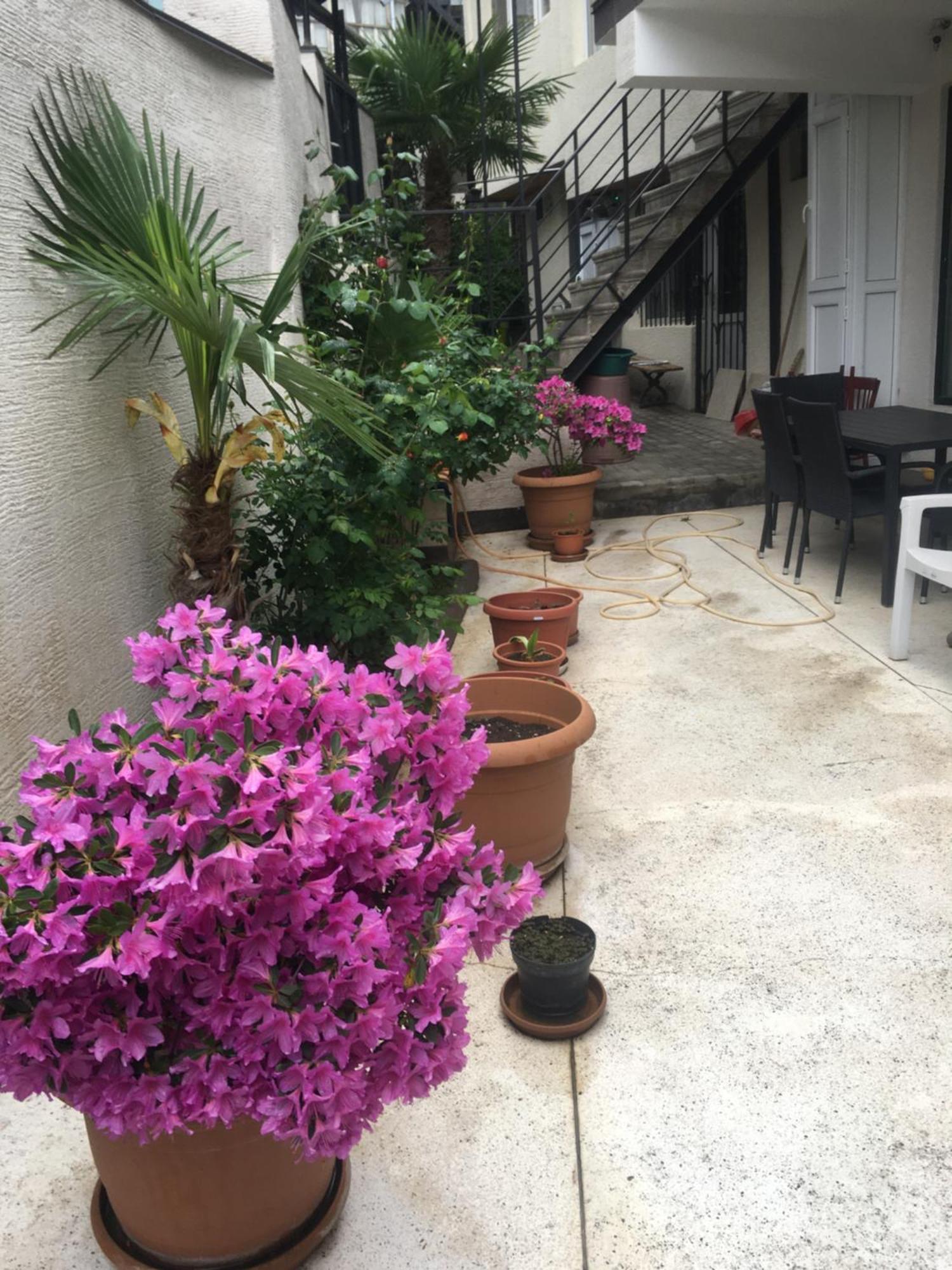 10 Shindisi Street,Tbilisi Apartman Kültér fotó