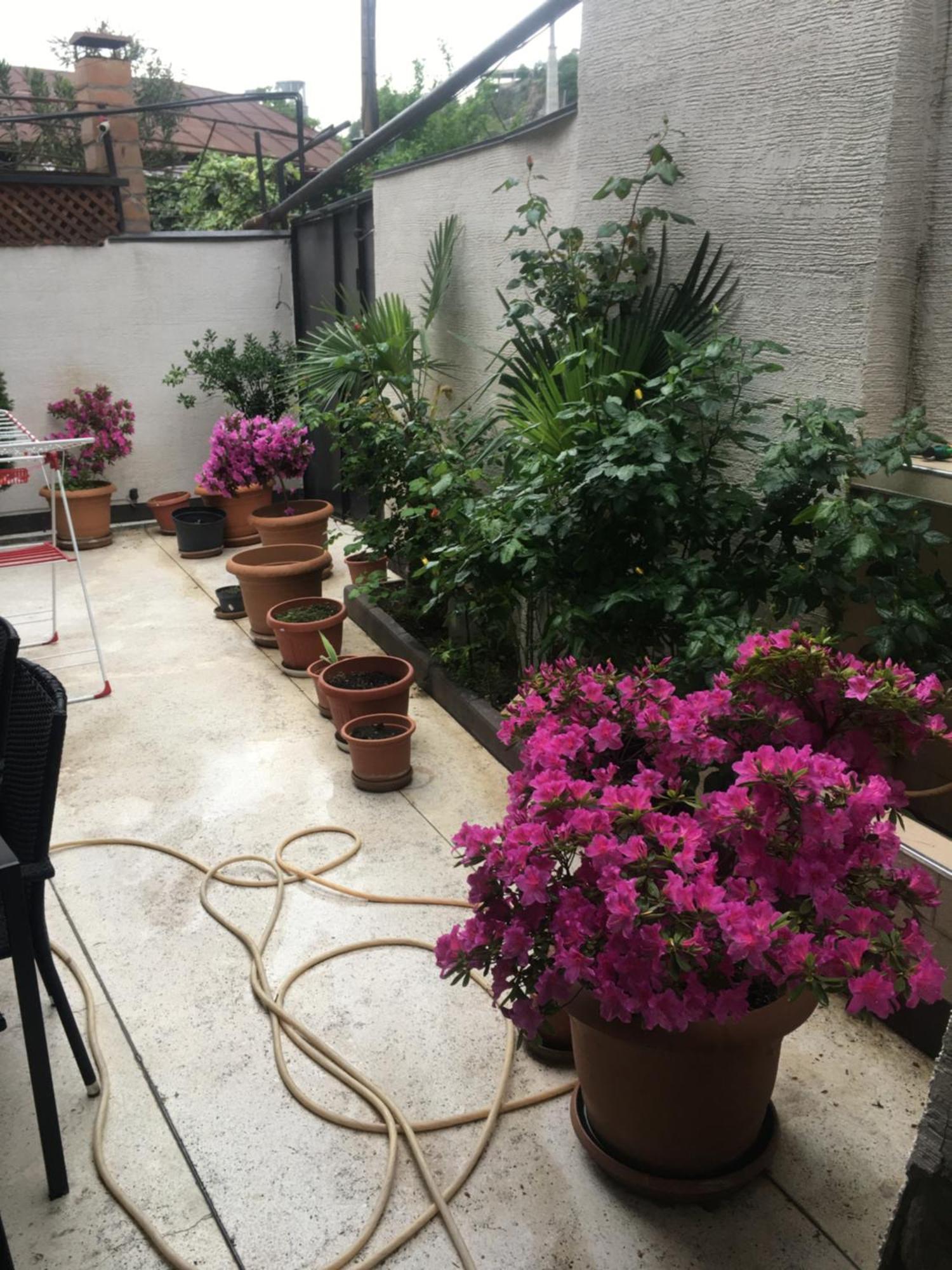 10 Shindisi Street,Tbilisi Apartman Kültér fotó