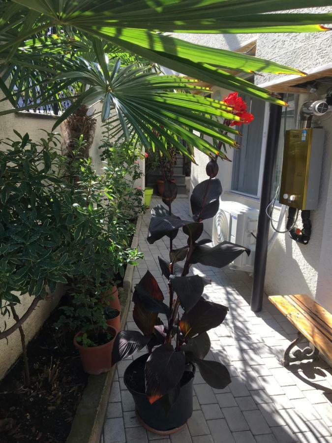 10 Shindisi Street,Tbilisi Apartman Kültér fotó